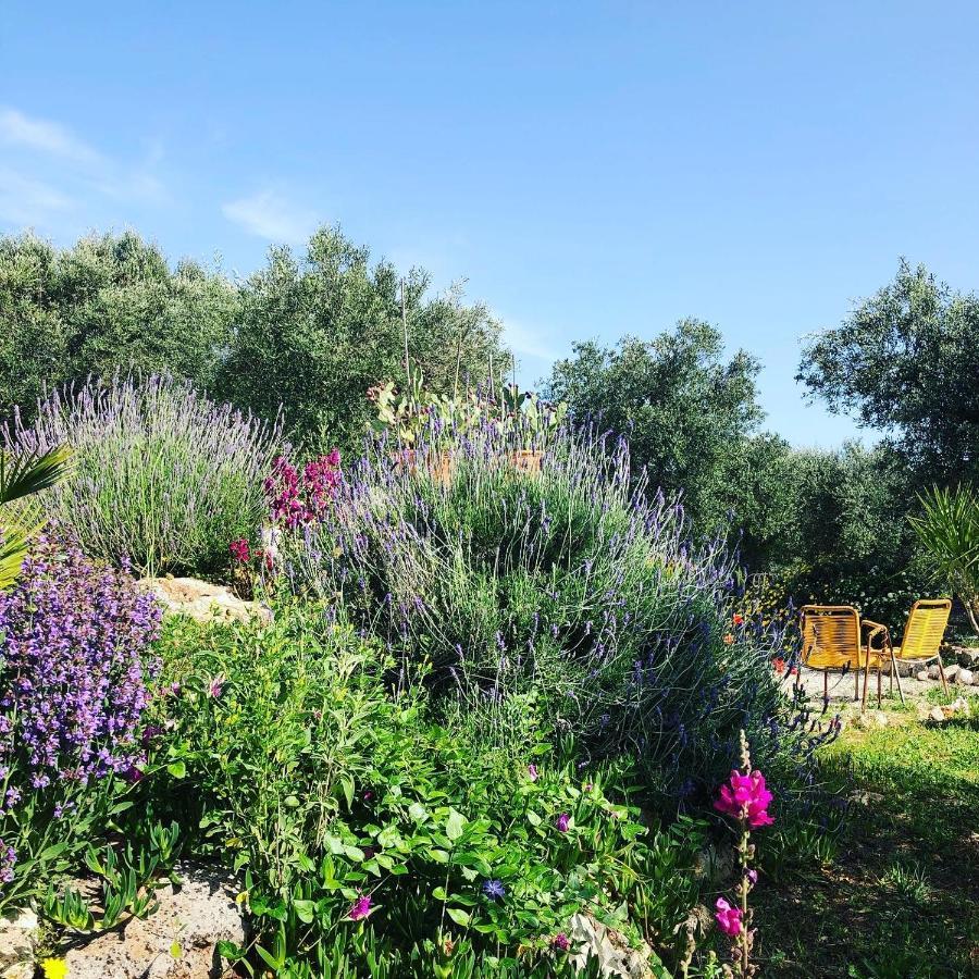 Bed and Breakfast Casa Della Scrittrice Ostuni Zewnętrze zdjęcie