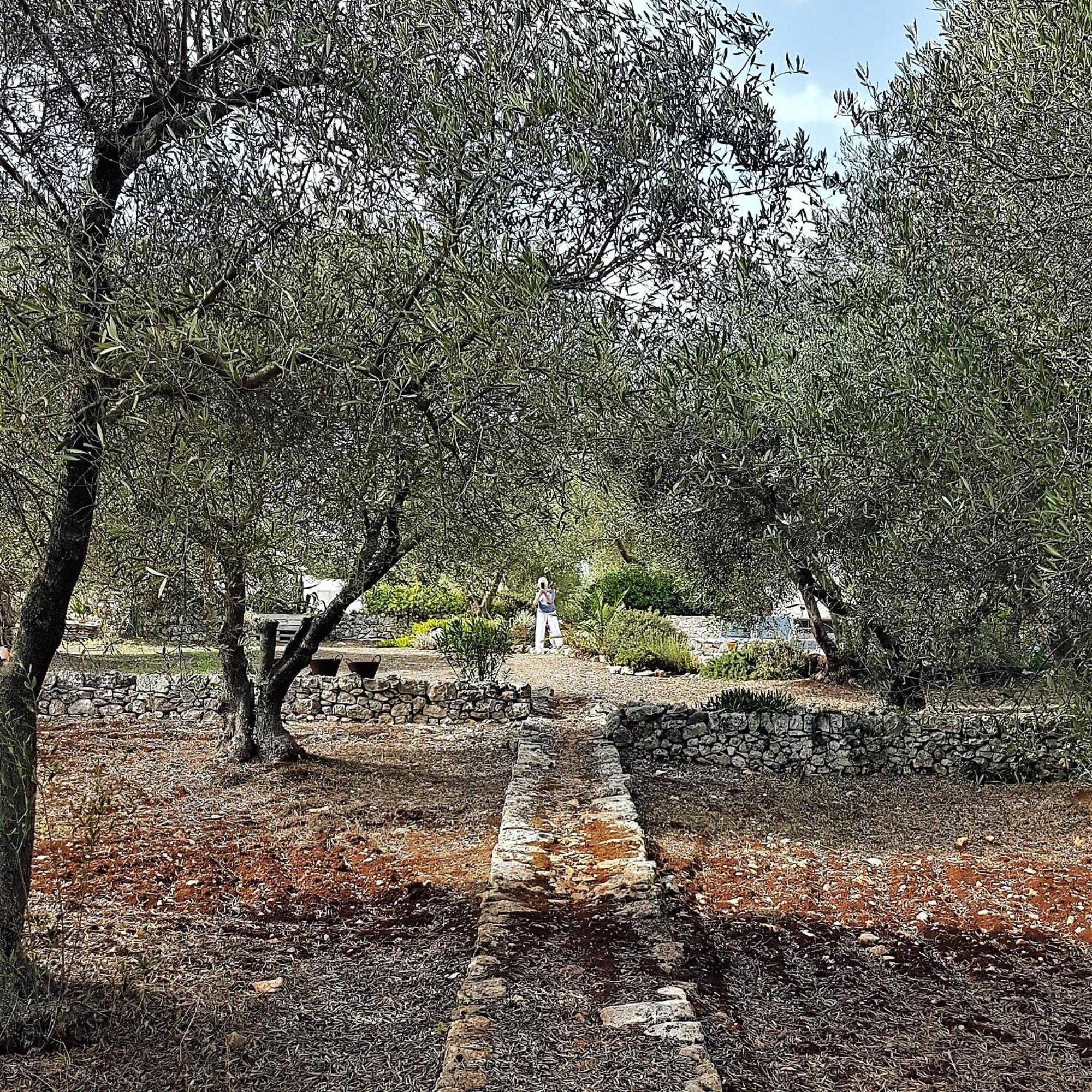 Bed and Breakfast Casa Della Scrittrice Ostuni Zewnętrze zdjęcie