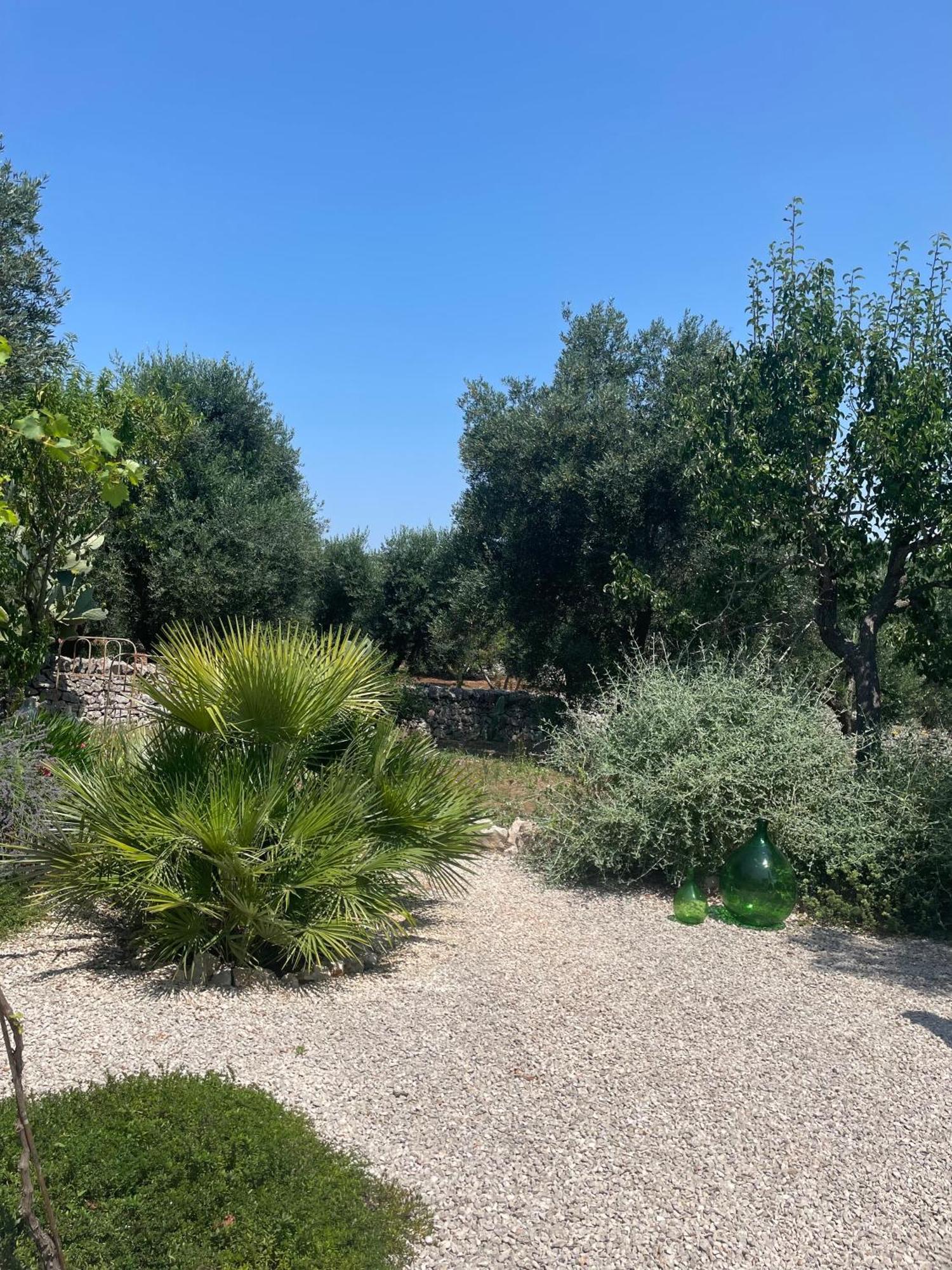 Bed and Breakfast Casa Della Scrittrice Ostuni Pokój zdjęcie